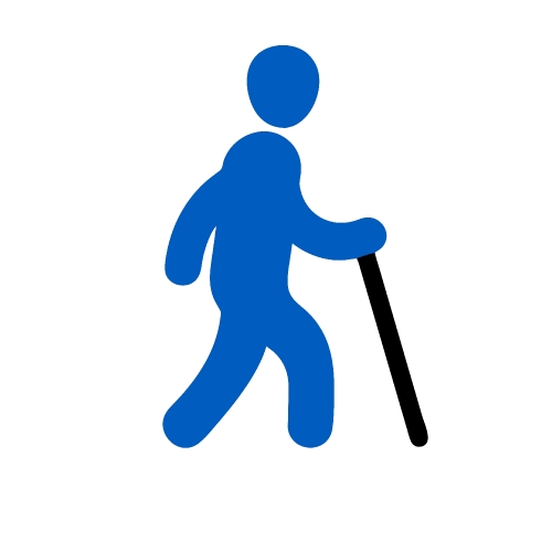 Walk icon