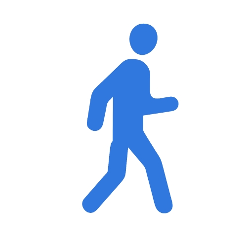 Walk icon