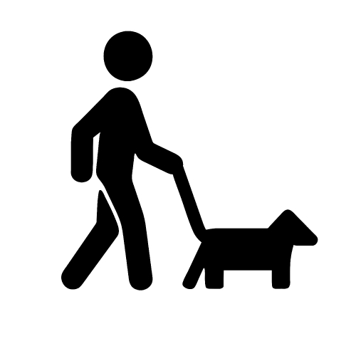 Walk icon