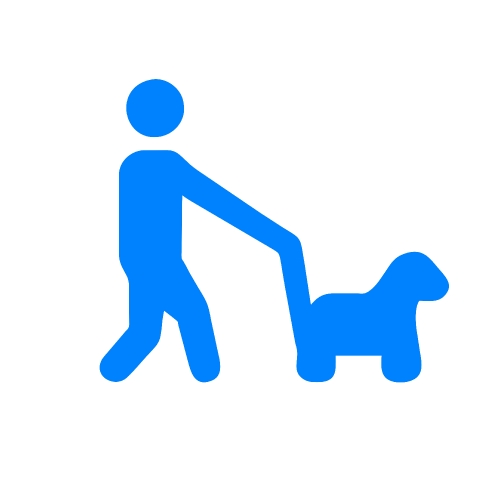 Walk icon