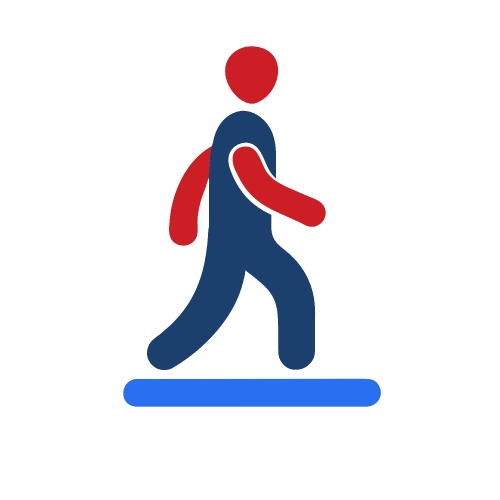 Walk icon