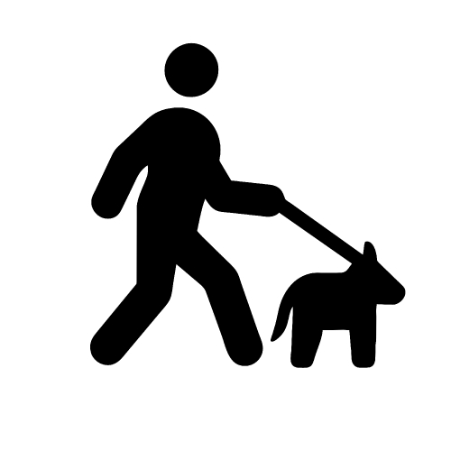 Walk icon