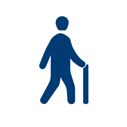 Walk icon