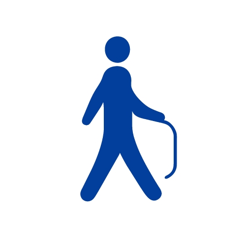 Walk icon